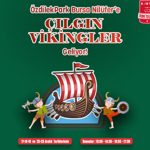 Çılgın Vikingler!